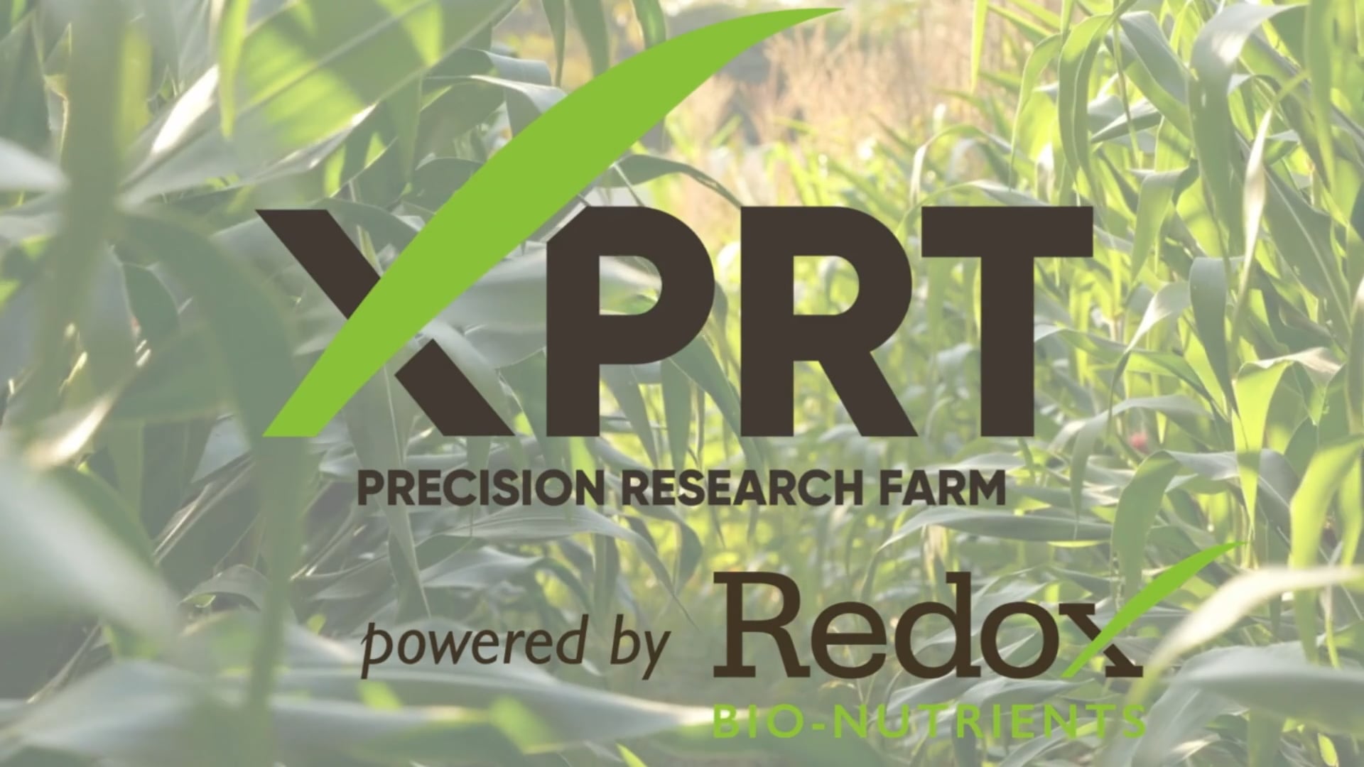 XPRT Farm Launch | Redox