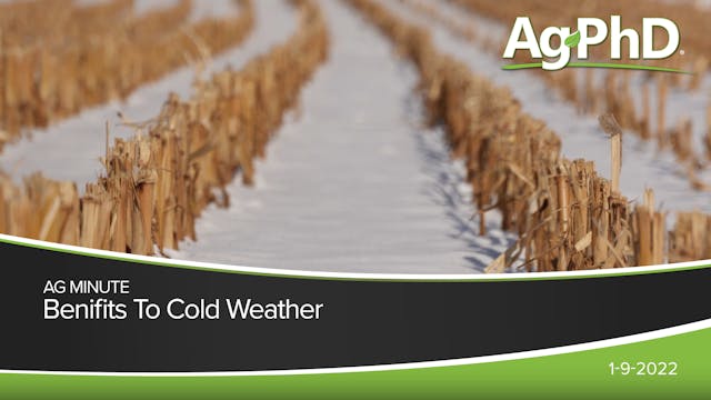Benefits of Cold Weather | Ag PhD