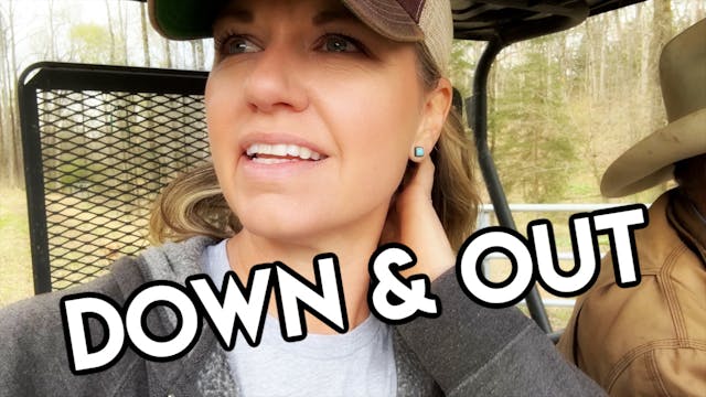 Trees Down, Cows Out, No Bull || This...