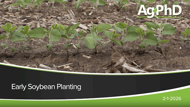 Early Soybean Planting | Ag PhD