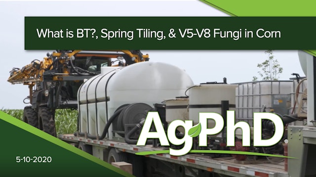 What is Bt? Spring Tiling & V5-V8 Fungi in Corn | Ag PhD
