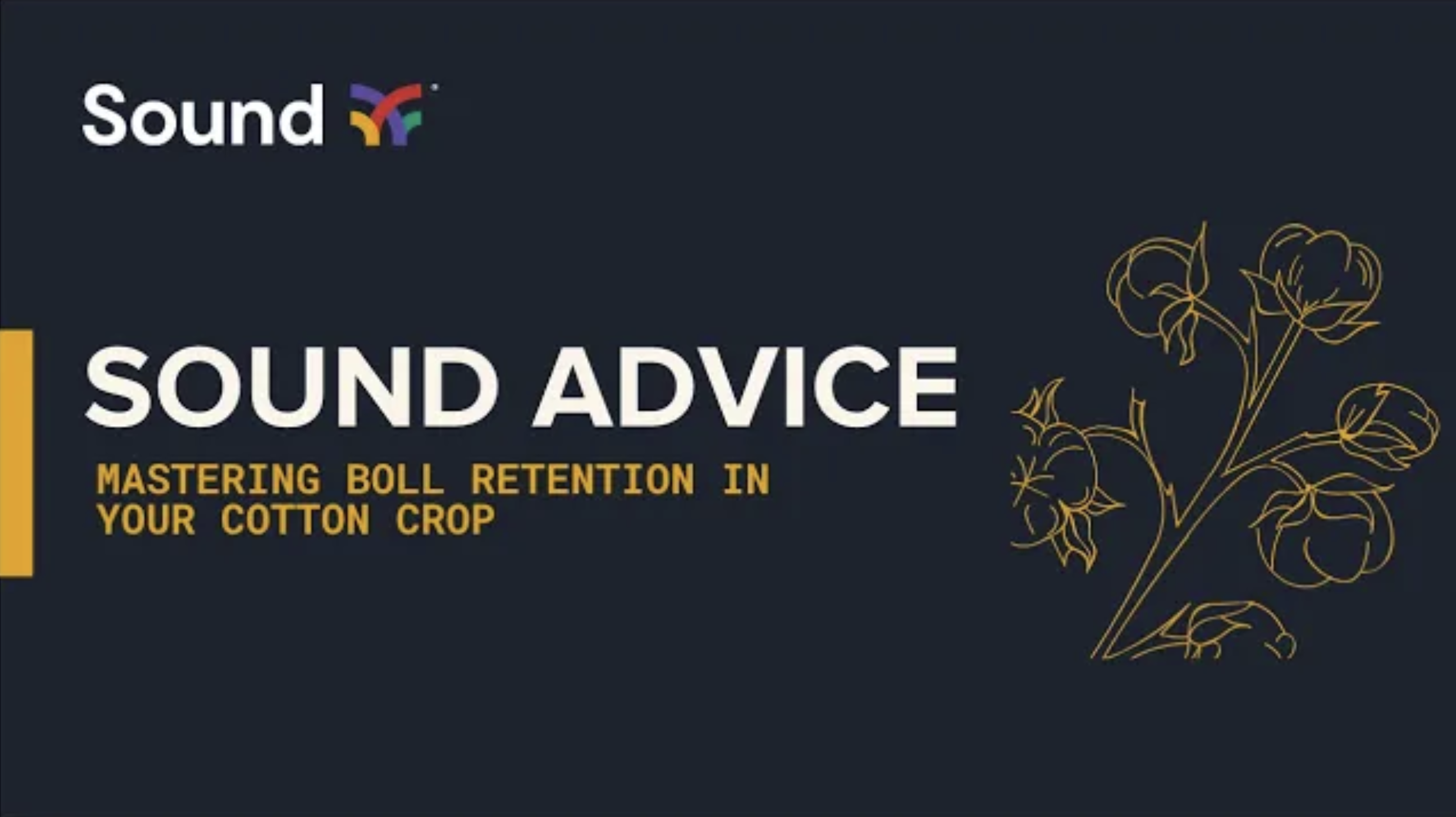 Sound Advice: Mastering Boll Retention in your Cotton Crop | Sound Ag