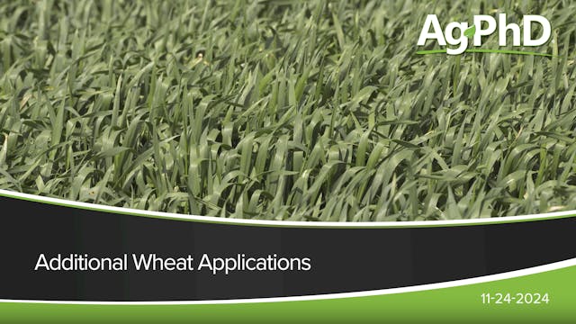 Additional Wheat Applications | Ag PhD