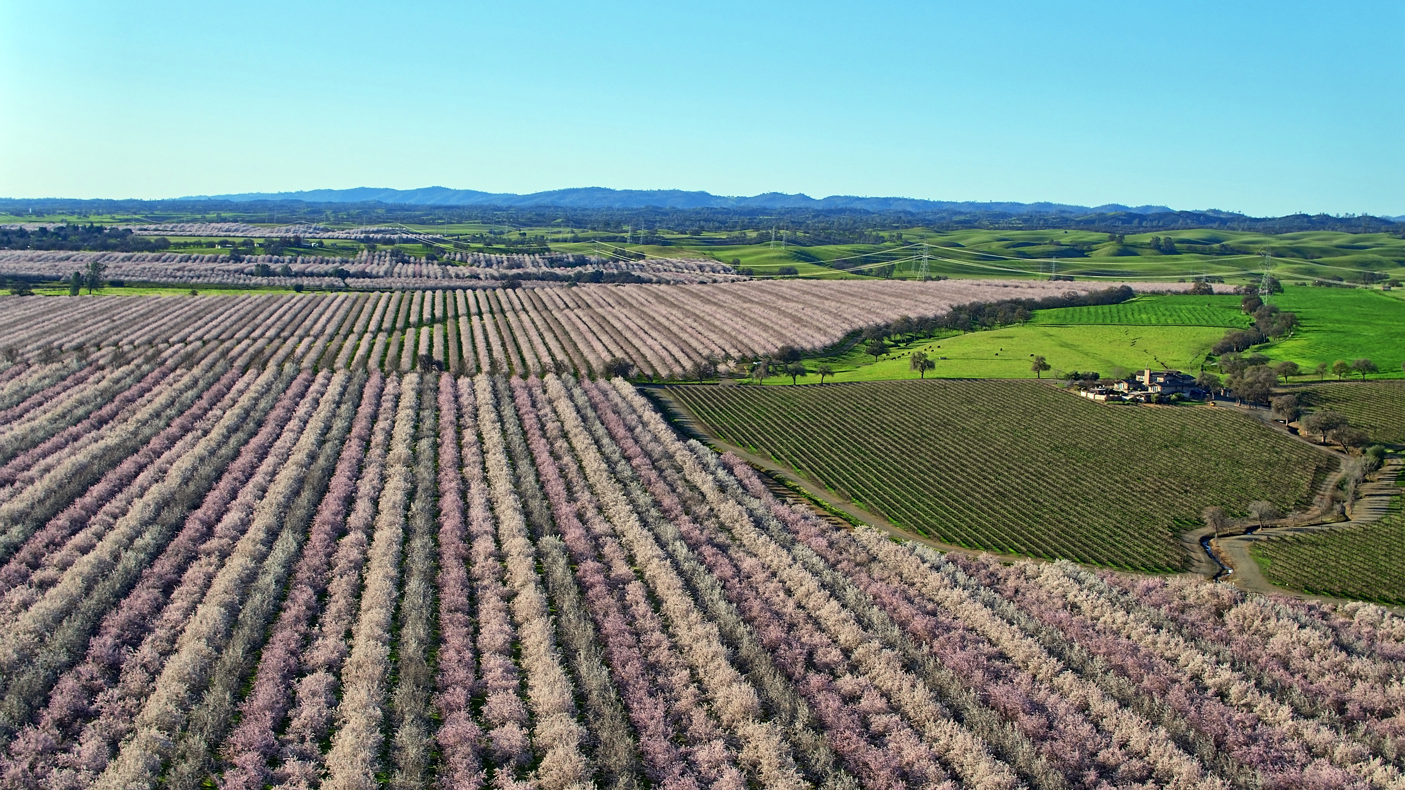 Agronomy/Harvest/Aerial