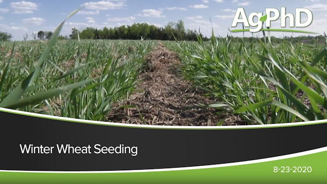 Winter Wheat Seeding | Ag PhD
