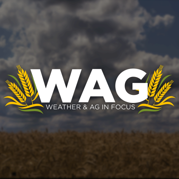 Dangerously Down on the Farm | WAG in Focus 