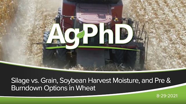 Silage vs Grain, Soybean Harvest Moisture, Pre and Burndown Options in Wheat