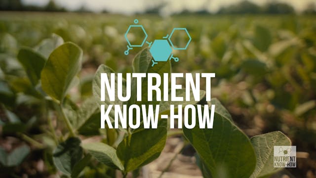 Nutrient Know-How: Potassium is Key t...