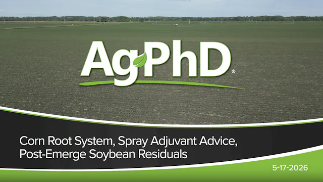 Corn Root System, Spray Adjuvant Advi...
