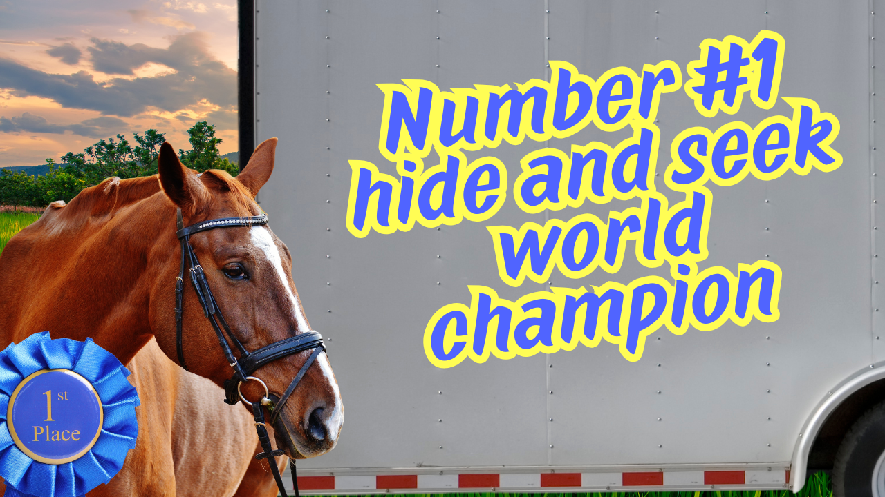 The Stolen Sugar Horse Story | WAG in Focus 09-29-25