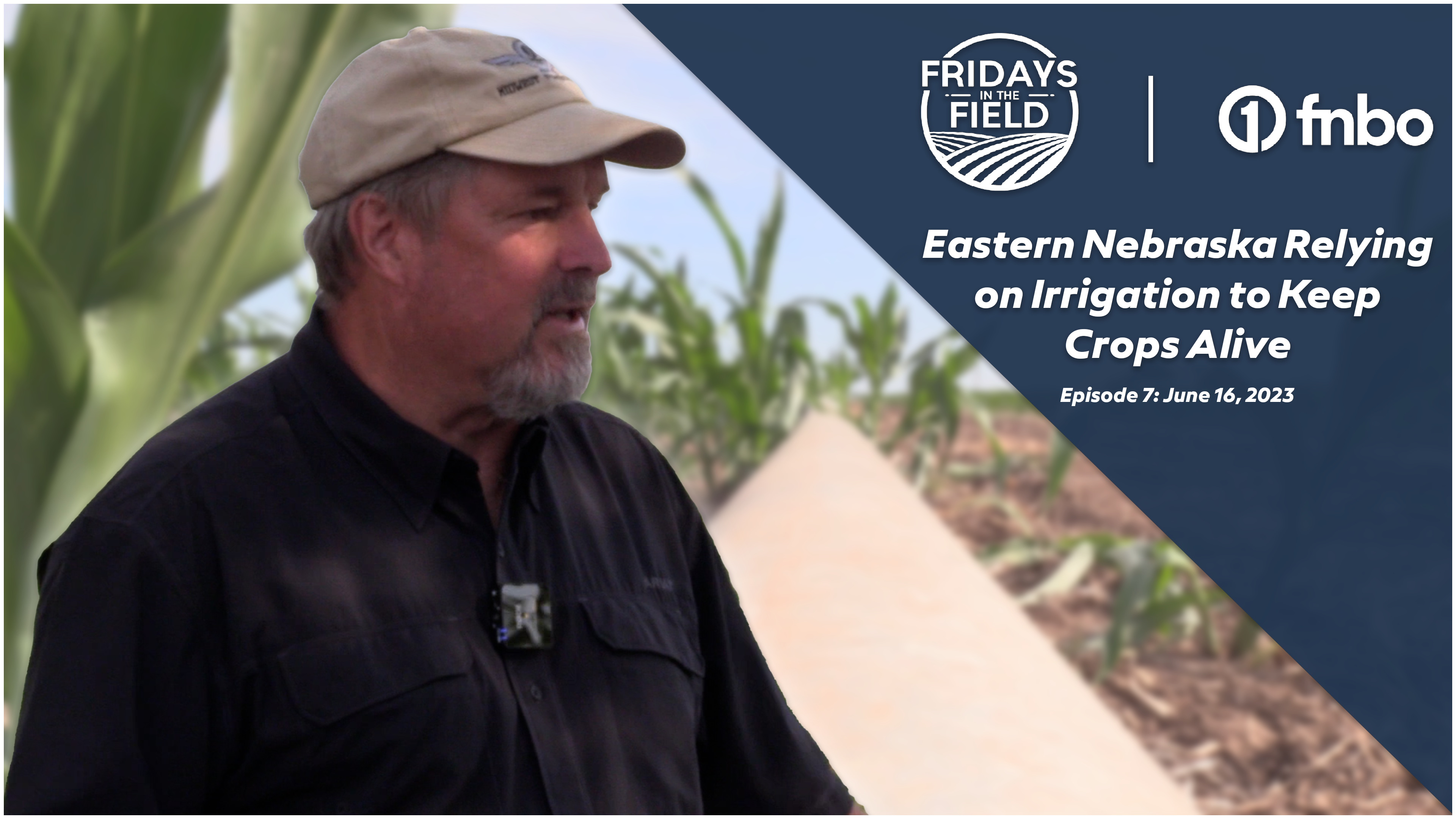 Irrigation Keeping Crops Alive in Eastern Nebraska | Rural Radio Network