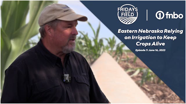 Irrigation Keeping Crops Alive in Eas...