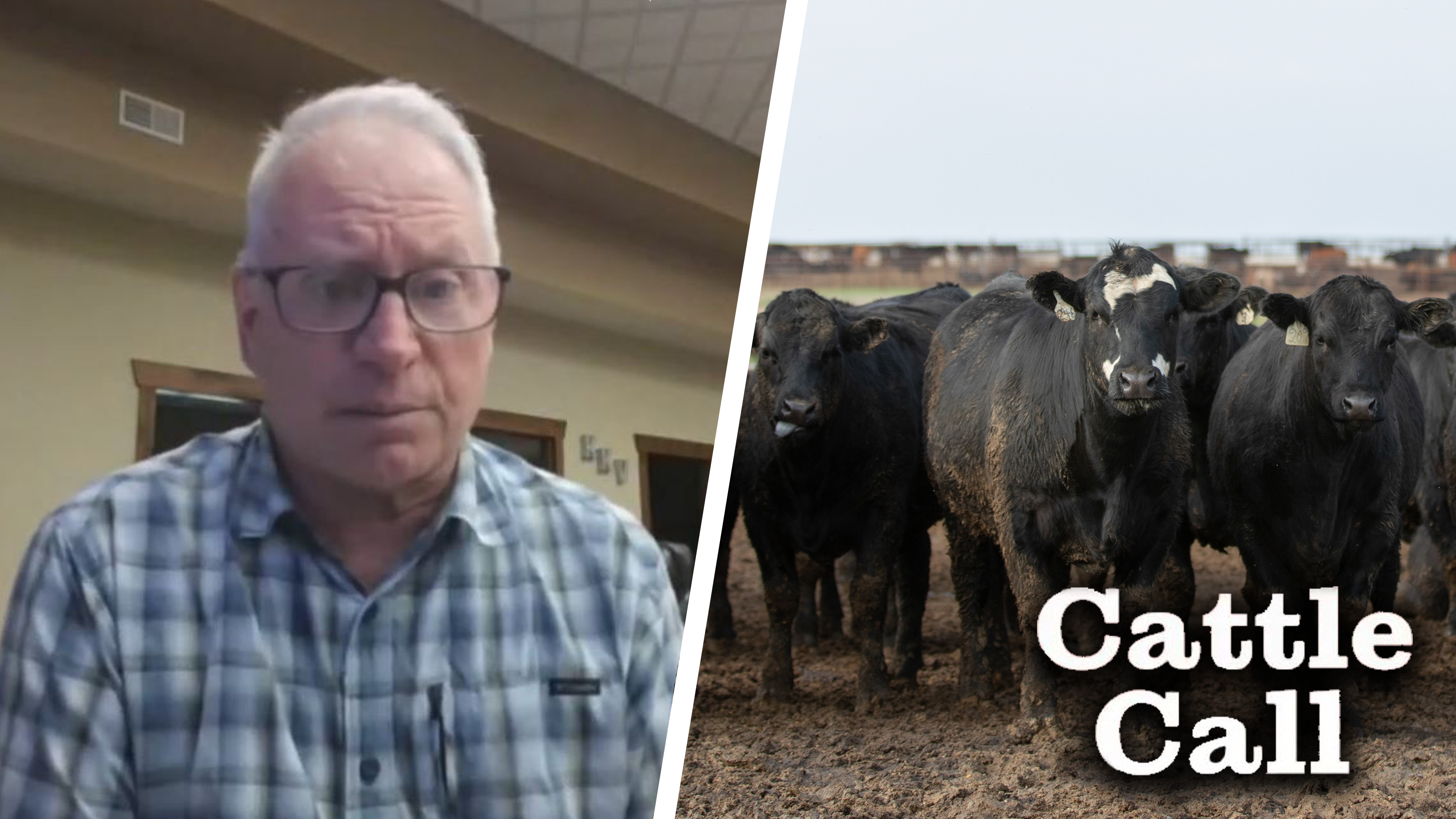 Cattle Markets: Feeders Drop in Weather-Driven Market | Cattle Call