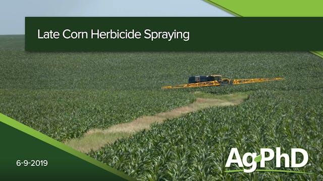 Late Season Corn Herbicide Spraying