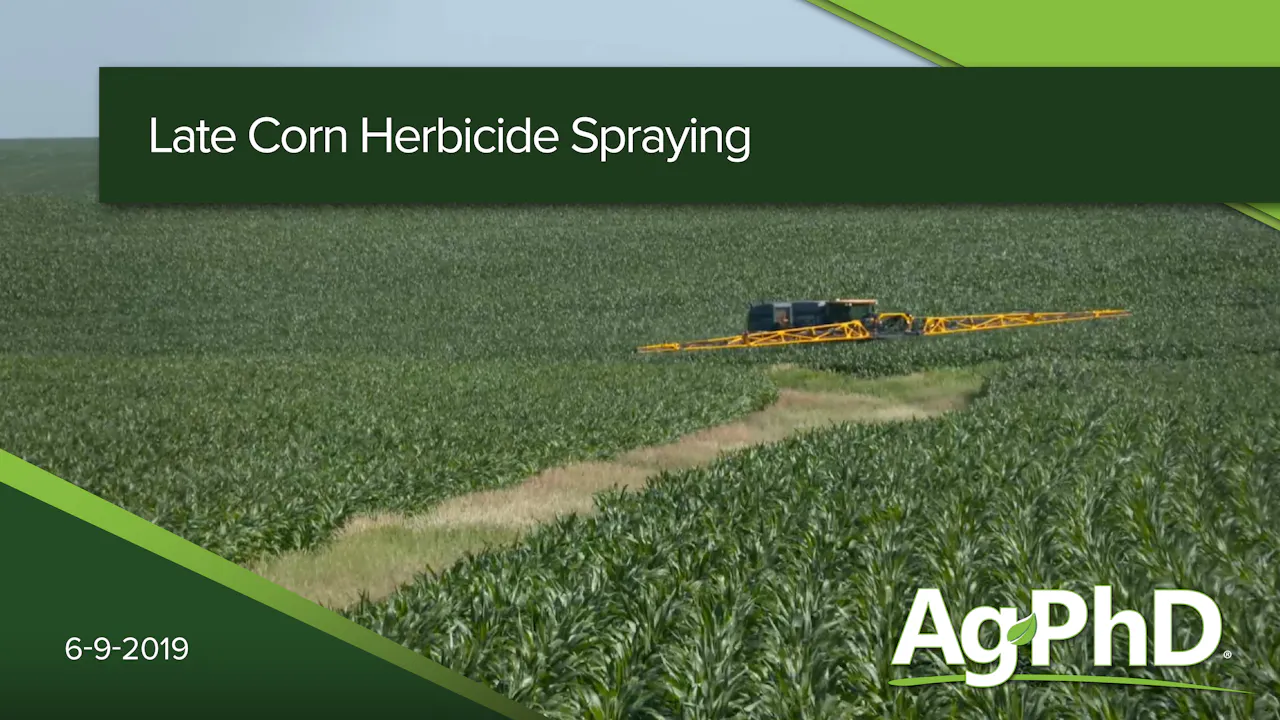 Late Season Corn Herbicide Spraying - AcresTV