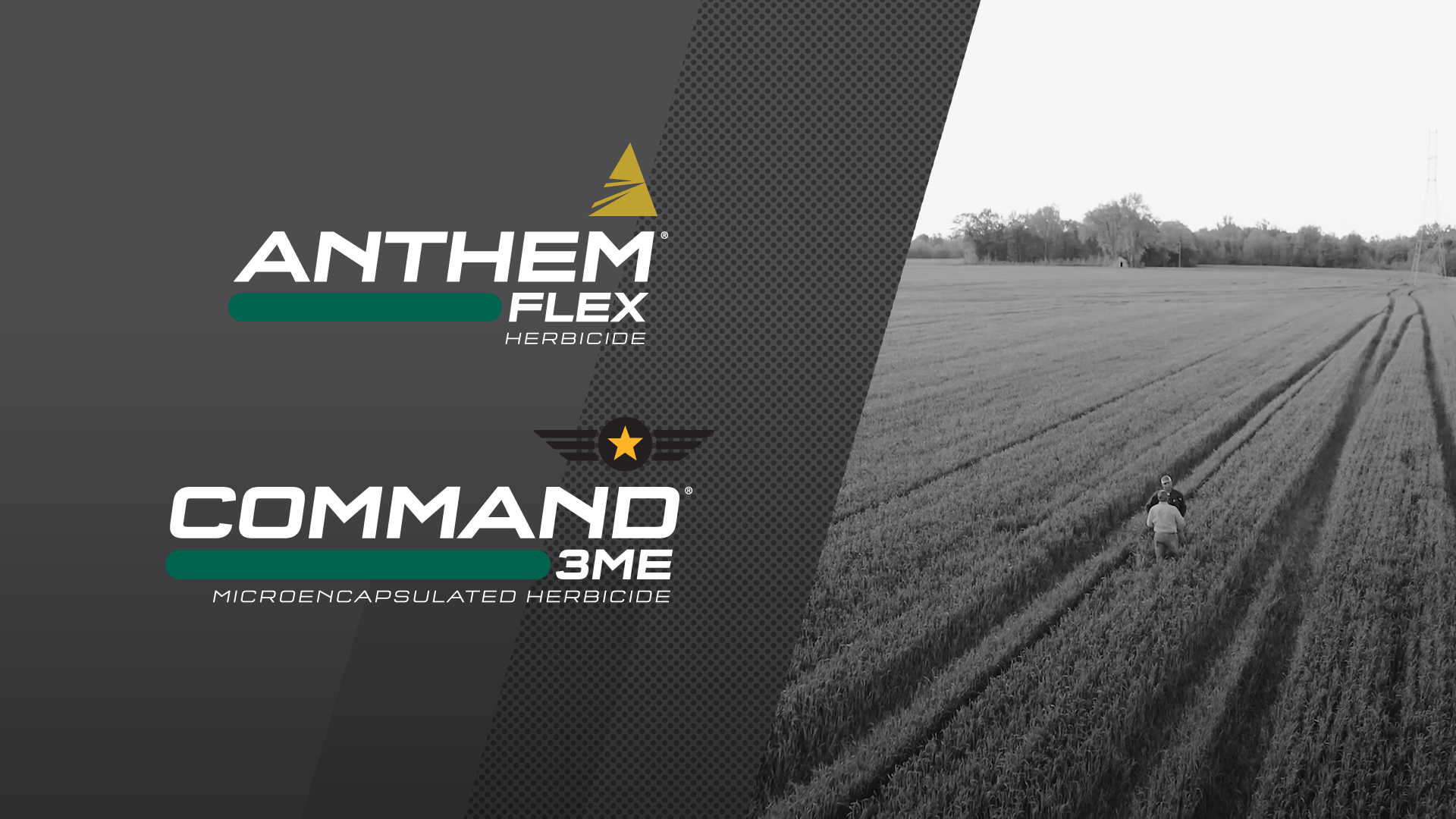 Tips on Tackling Italian Ryegrass with Jason Bond, MS State University | FMC