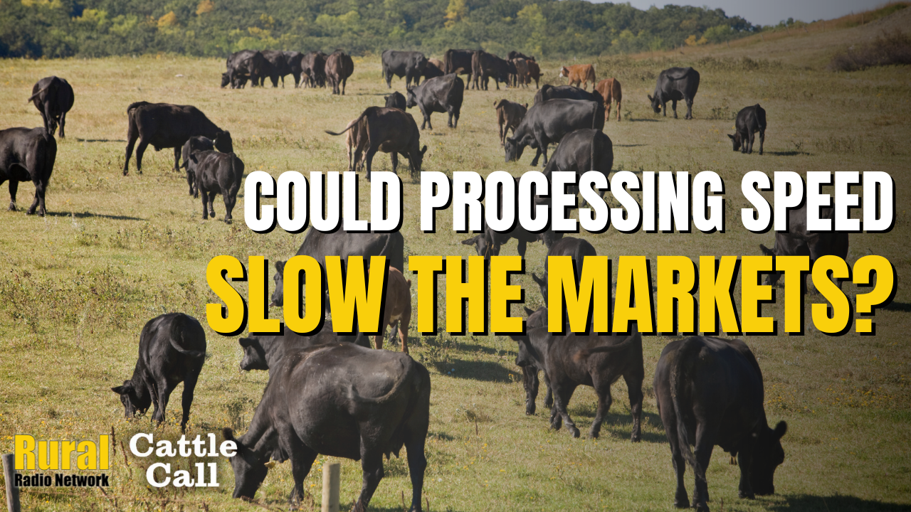 Could Processing Speed Slow the Cattle Market? | Cattle Call
