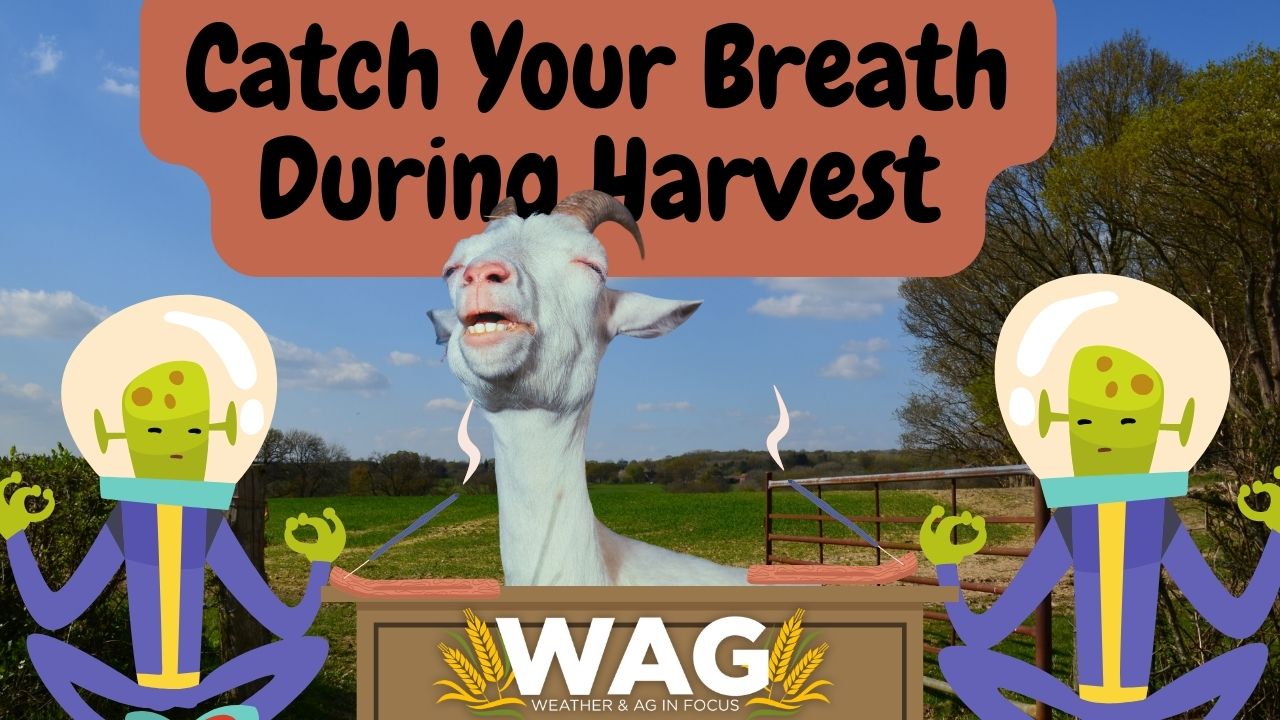 Catch Your Breath During Harvest | WAG In Focus 9/28/23