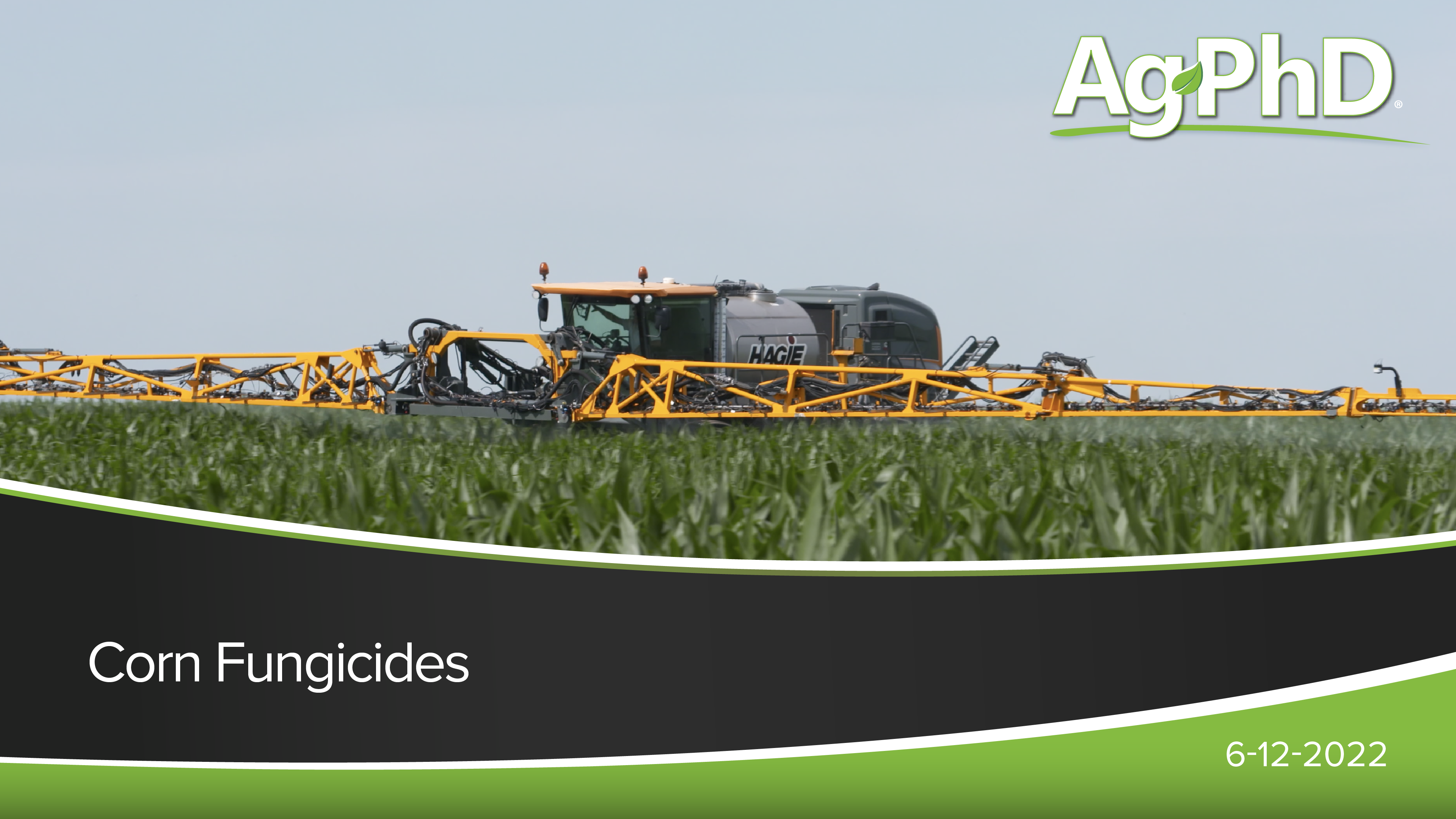 Corn Fungicides | Ag PhD