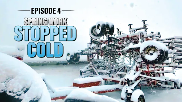 It Won't Stop Snowing | Northwoods