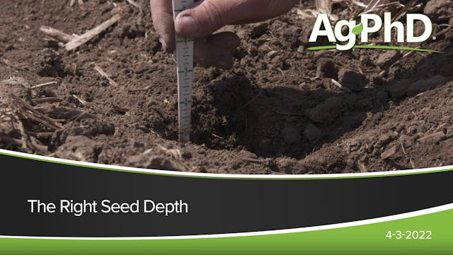 The Right Seed Depth | Ag PhD