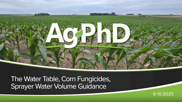 The Water Table, Corn Fungicides, Spr...