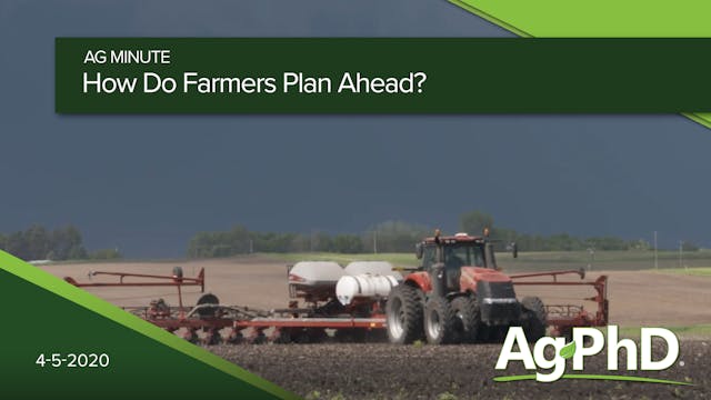 How Do Farmers Plan Ahead?