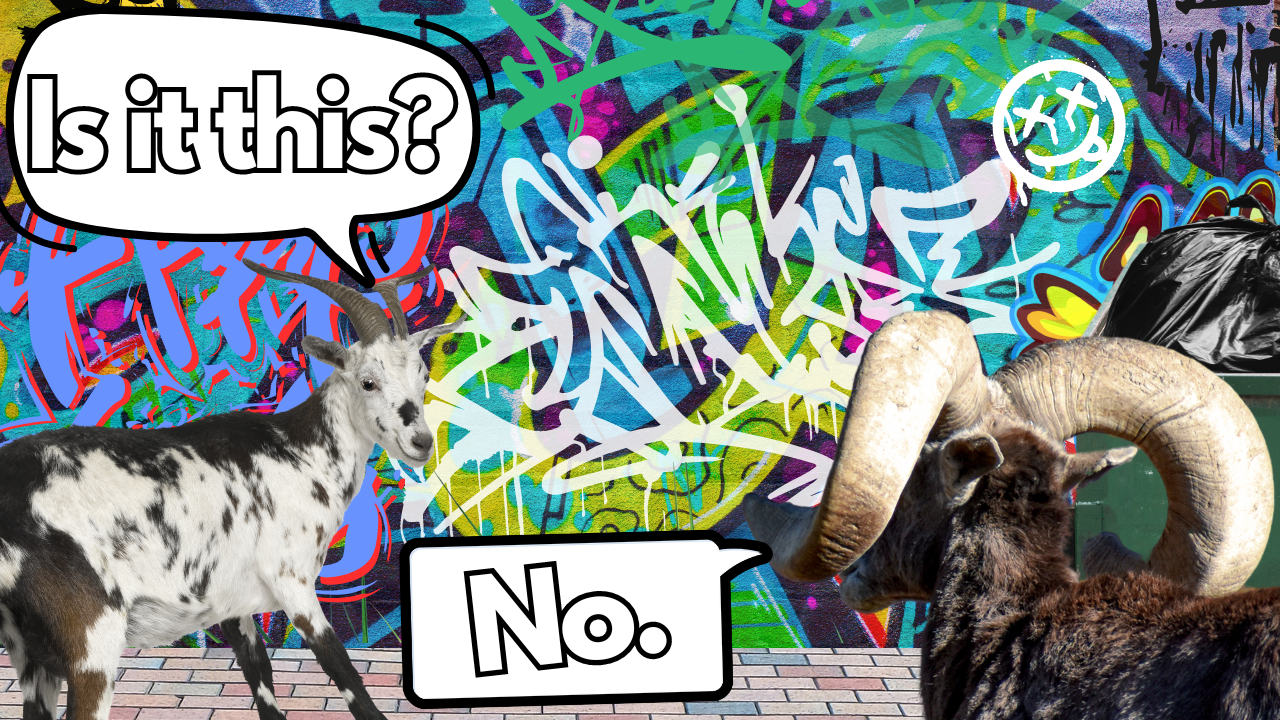 What's a Gratis Tag? | WAG in Focus 05/23/24