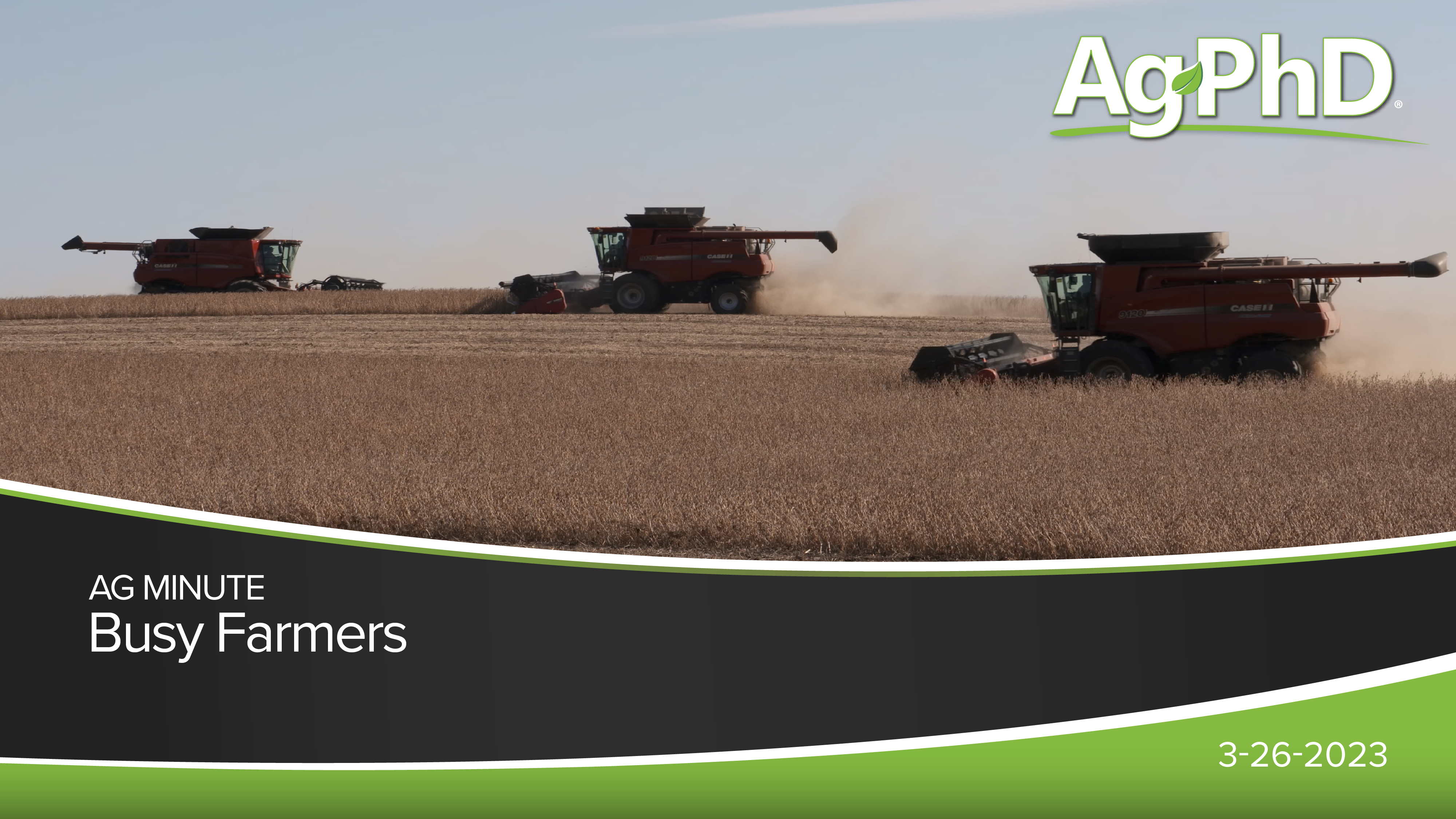 Busy Farmers | Ag PhD