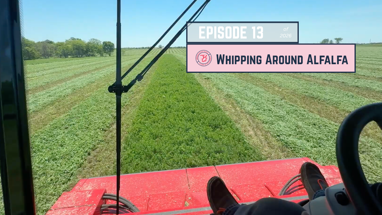 Whipping Around Alfalfa | Chronicles of Kayla