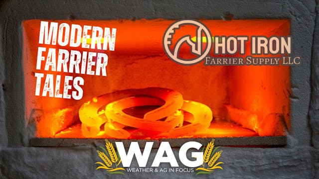 Modern Farrier Tales | WAG in Focus 1...