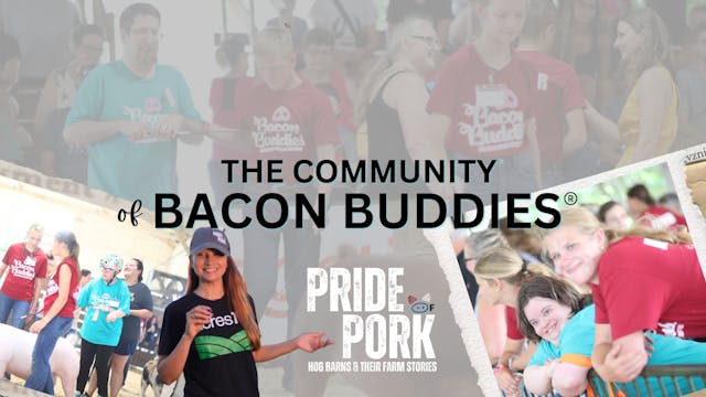 Showing Pigs at Bacon Buddies in Iowa...
