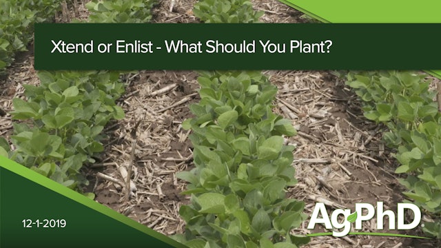 Xtend vs. Enlist Soybeans - What Should You Plant?