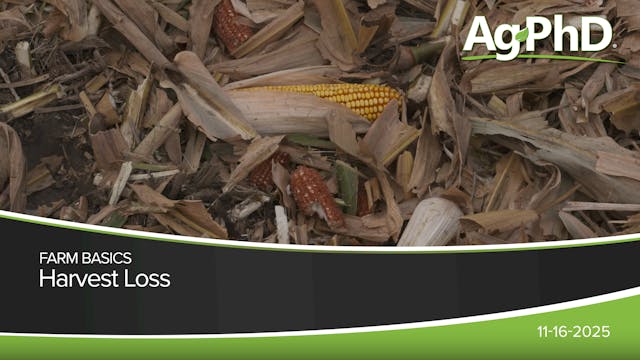 Harvest Loss | Ag PhD