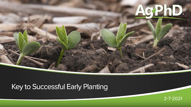 Keys to Successful Early Planting