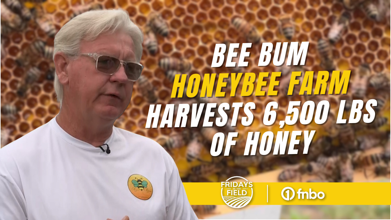 Honeybee farm in Nebraska harvests 6,500 lbs of honey | Fridays in the Field
