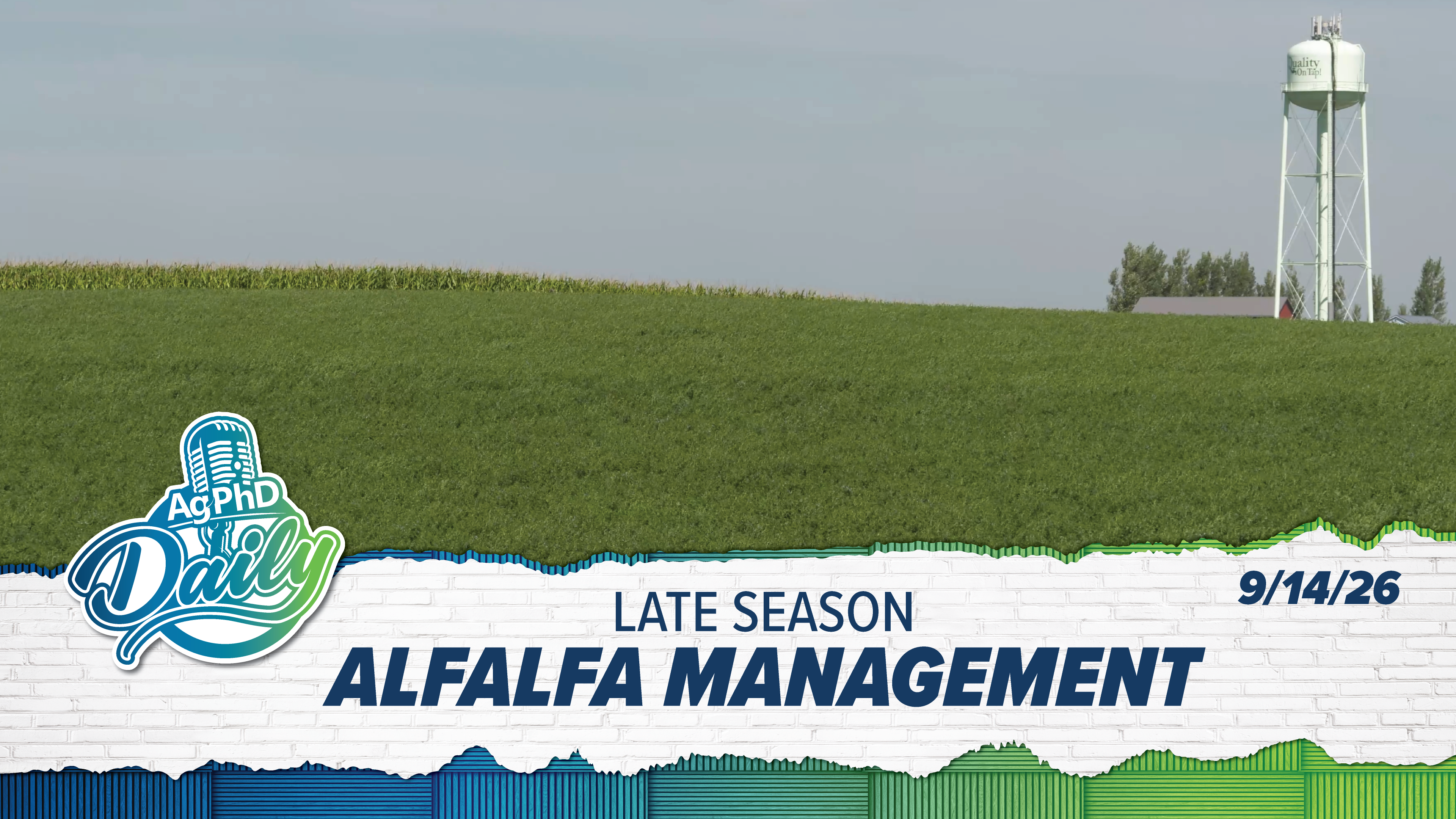 Late Season Alfalfa Management | Ag PhD Daily | 09/14/26