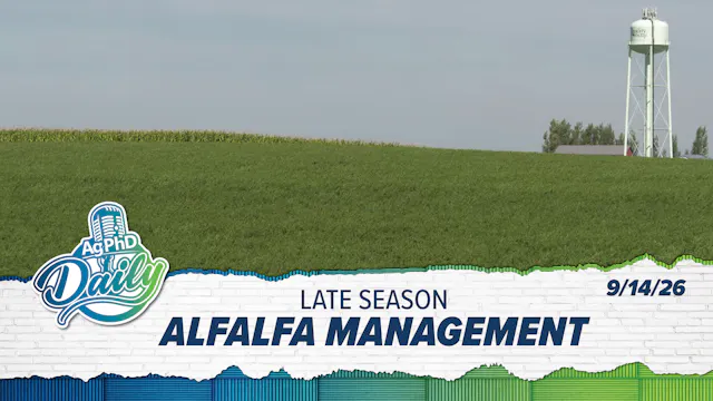 Late Season Alfalfa Management | Ag P...