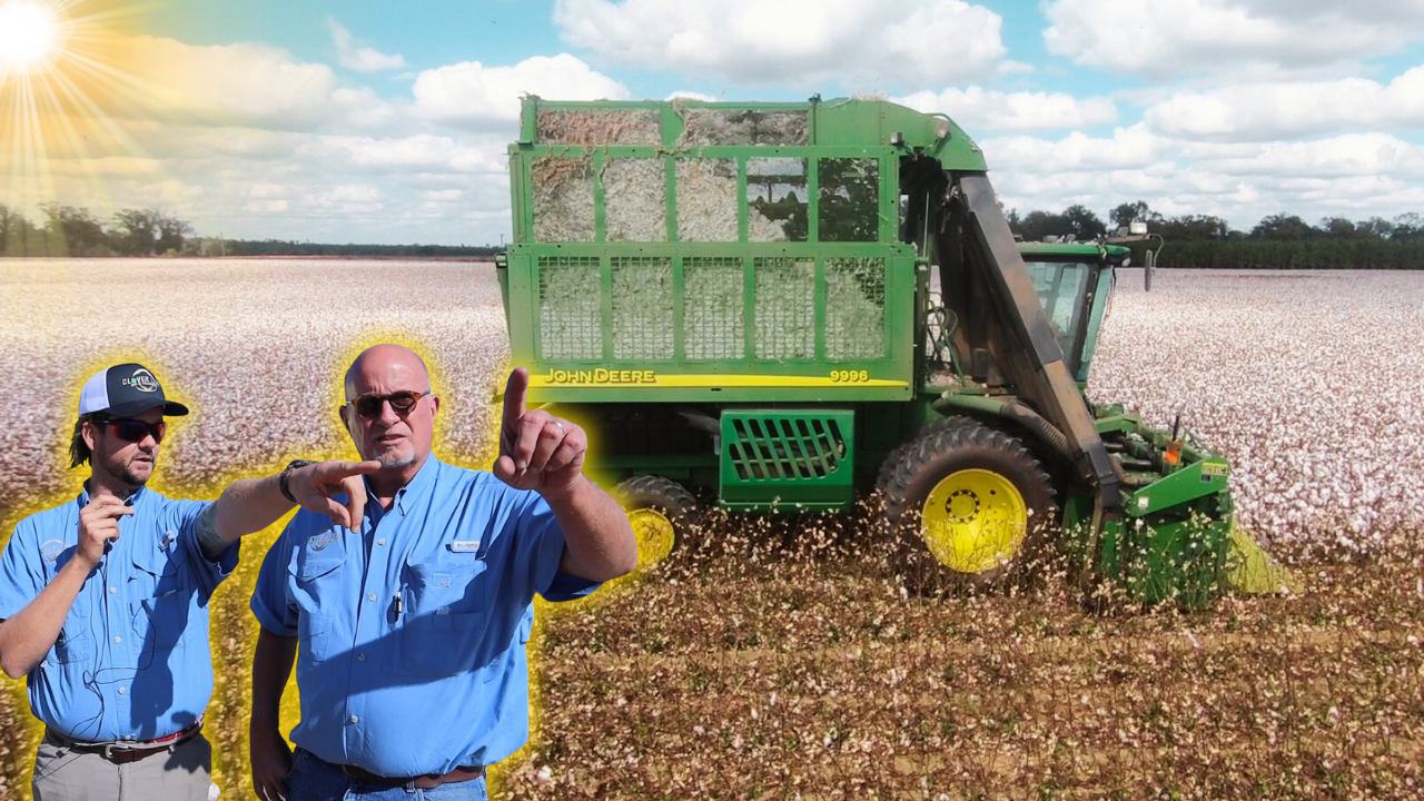 Is Cotton the Fabric of Our Lives? | Randy the Farmer