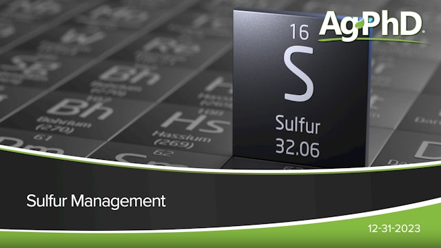 Sulfur Management | Ag PhD