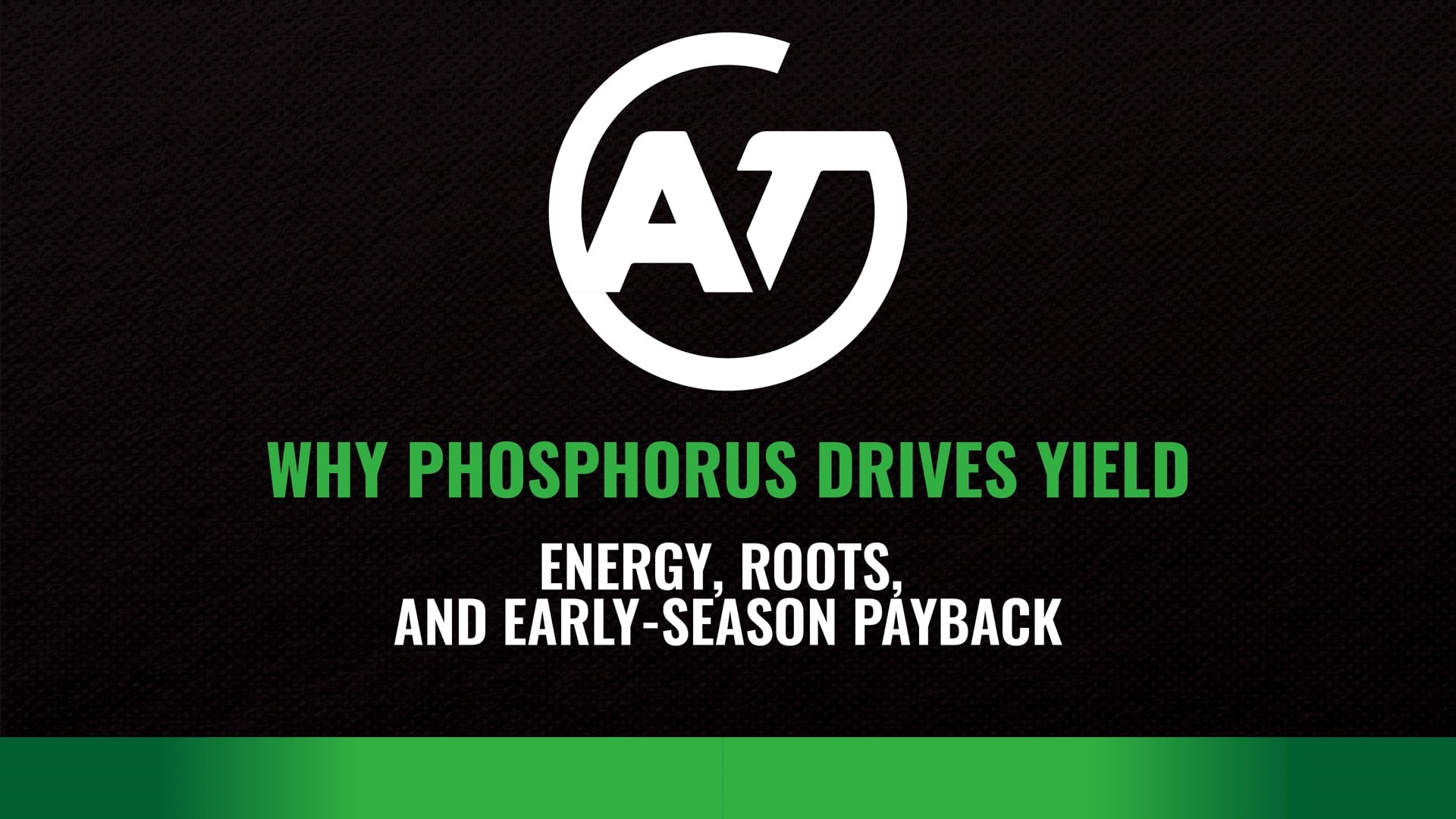 Why Phosphorus Drives Yield: Energy, Roots & Early-Season Payback | AgroTech USA
