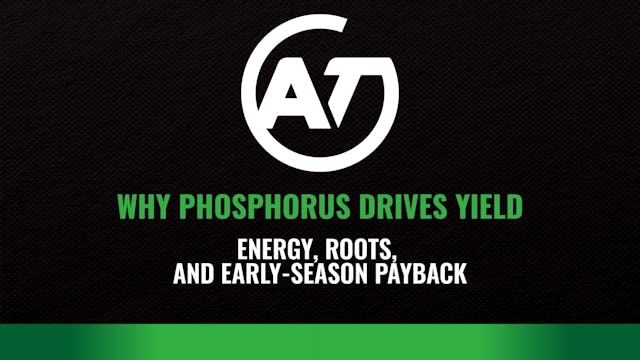 Why Phosphorus Drives Yield: Energy, ...