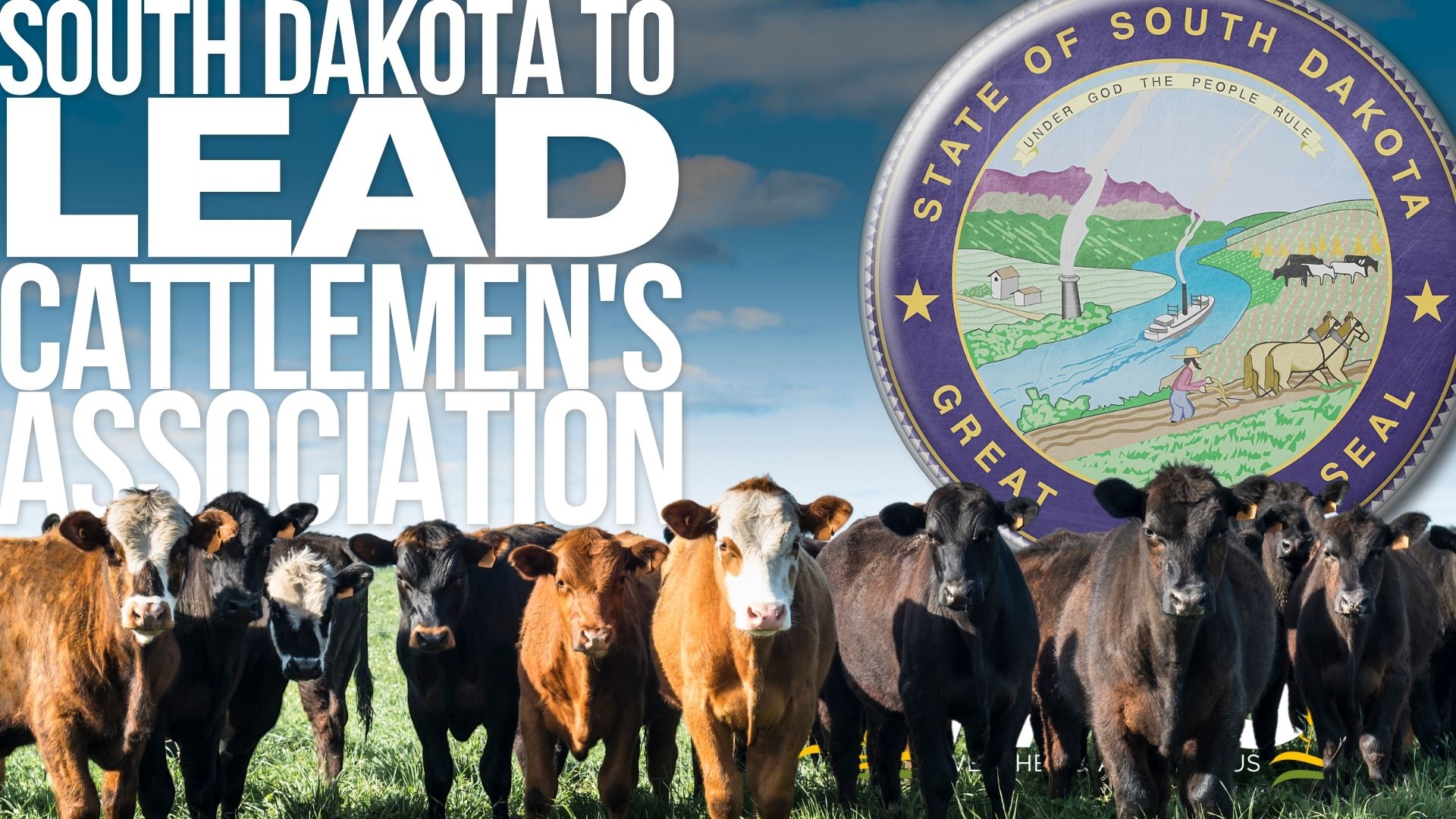 South Dakota to lead cattlemen's association 12-12-22 WAG In Focus
