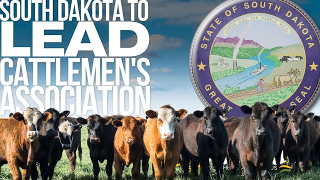 South Dakota to lead cattlemen's asso...