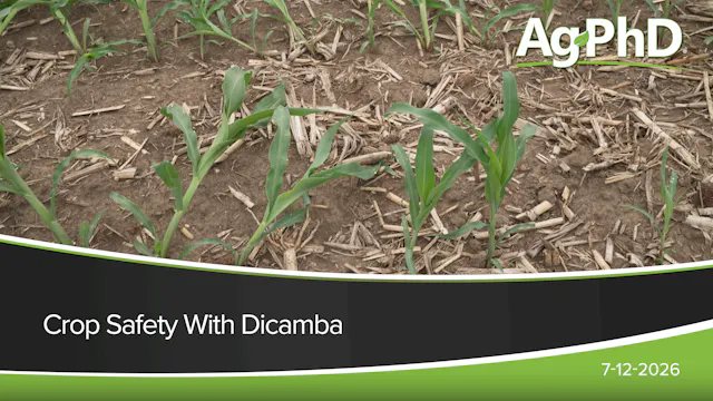 Crop Safety With Dicamba | Ag PhD