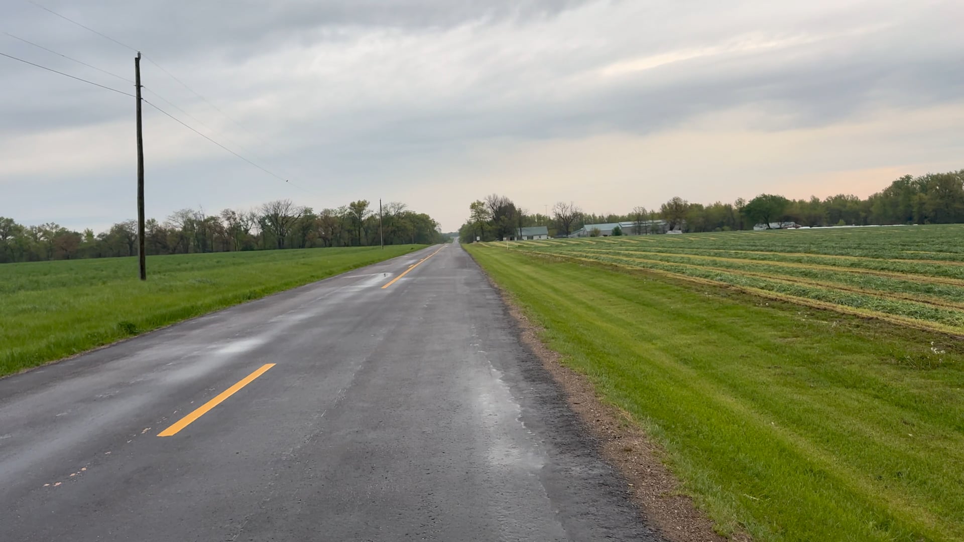 Wrap & Roll Triticale | Chronicles of Kayla