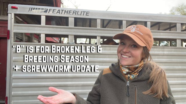 B is For Broken Leg and Breeding Seas...