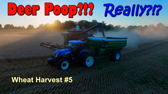 We Talkin About Deer Poop Man? Wheat ...