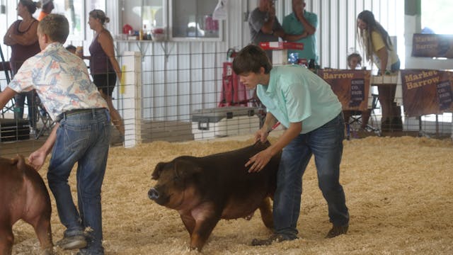 All’s Fair in Love and Boars | 105 | ...