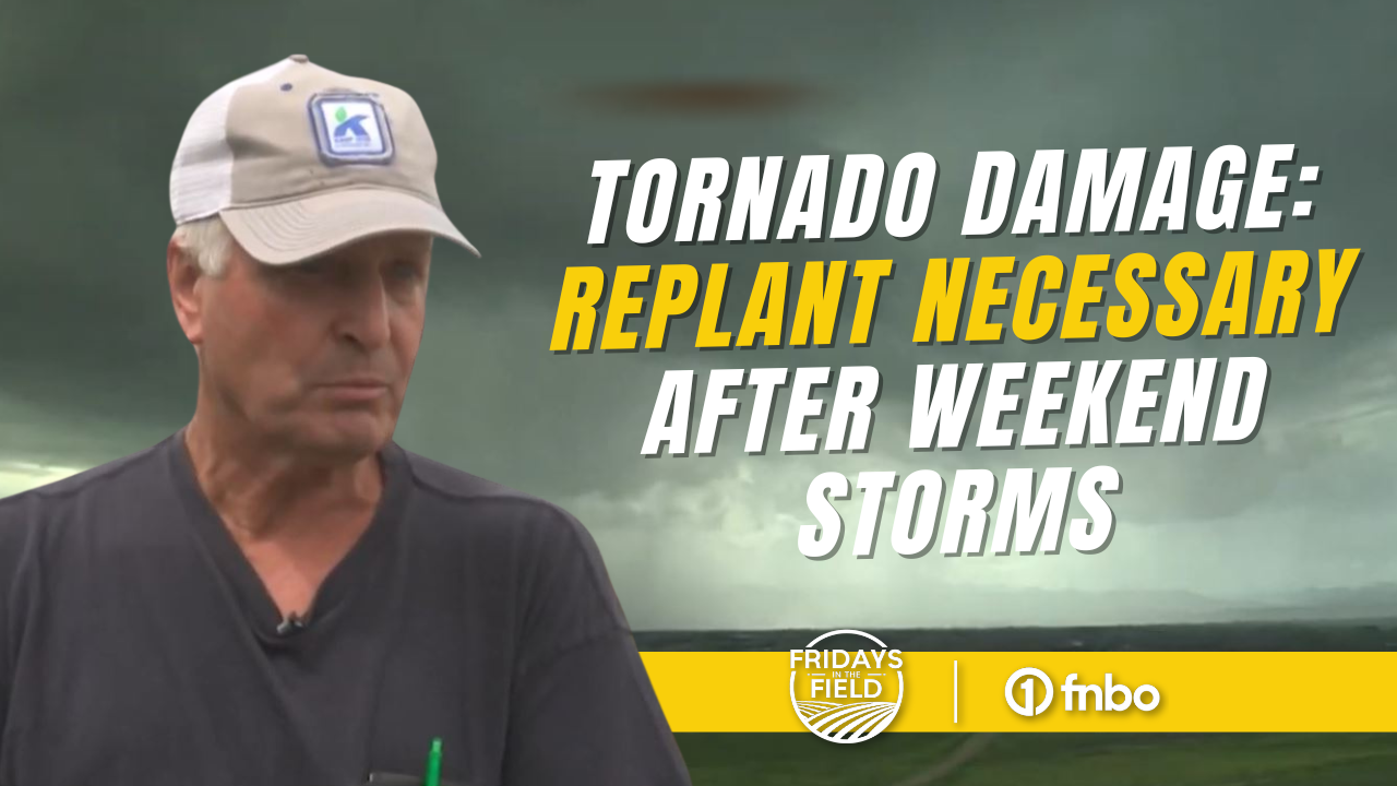 Tornados in Nebraska damage crops, destroy farm buildings | Fridays in the Field